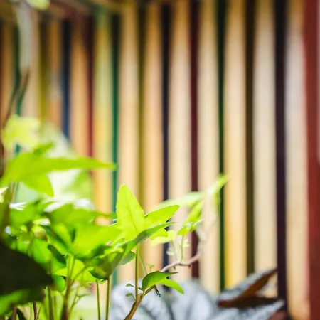 Terra - Stanza Viaggio 3*