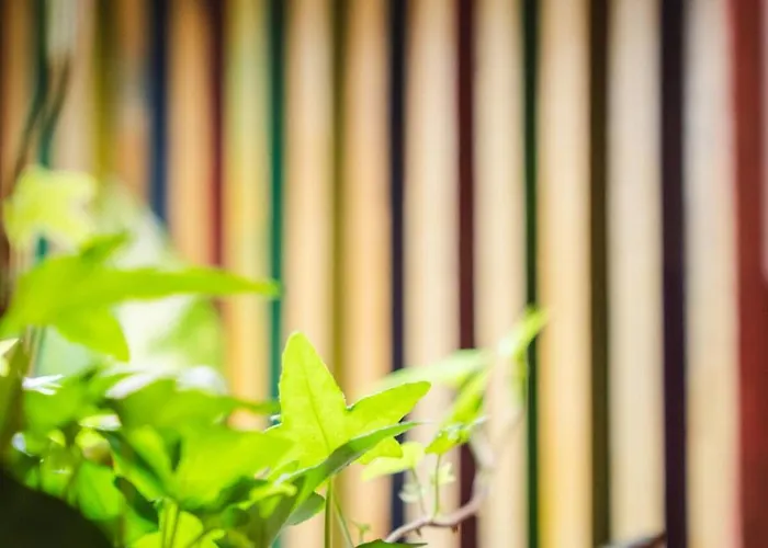 Terra - Stanza Viaggio 3*