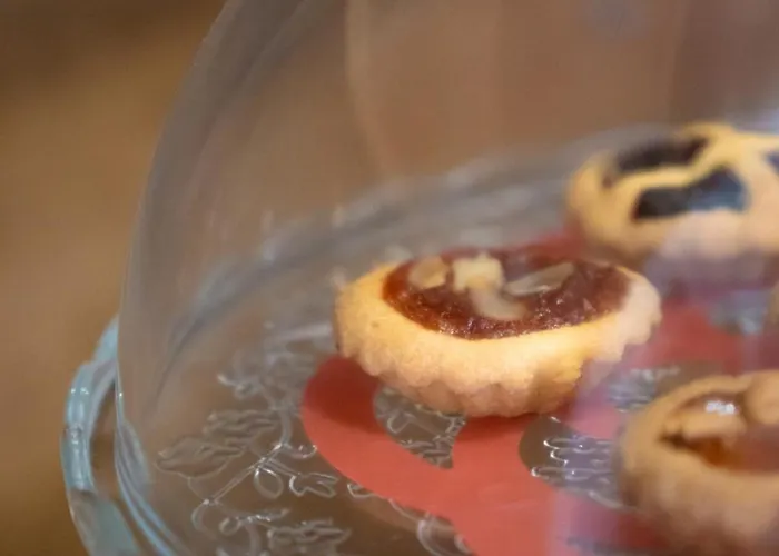 Terra - Stanza Viaggio